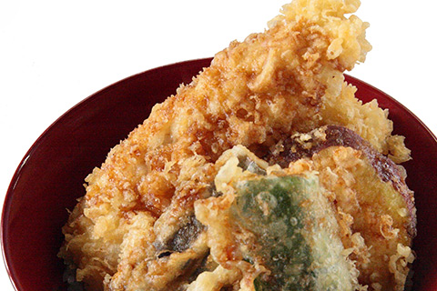 tendon dottoya